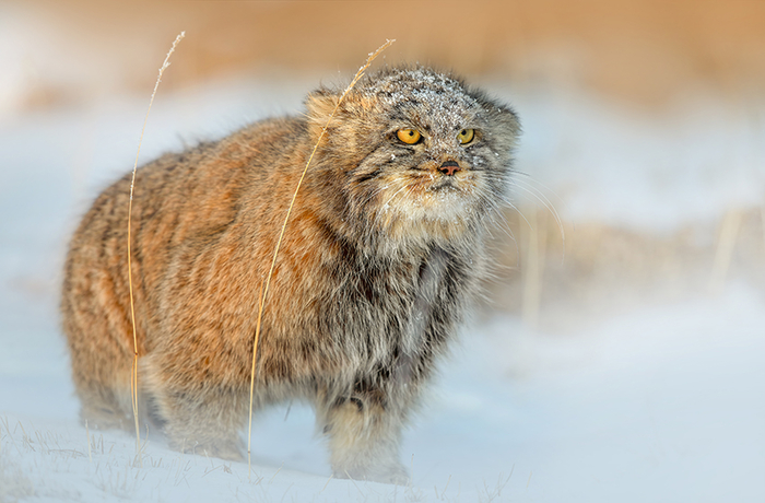 � ������� ������ ������� ��������� ������ ������� �������� �� ������������ ������