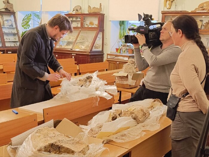 ������ ���������� � �������. ���� ���� ���������.