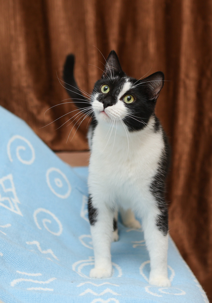 � ��� ��� ������� � �����?