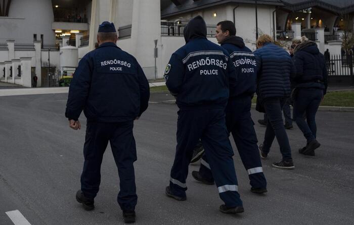 В Венгрии задержали украинского экс-генерала с крупной партией валюты и золота