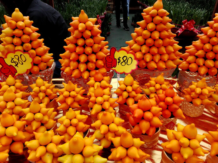 ������� ���������� ���������� �� ������ ������ ����������� � �����. ���� � ����� <!--noindex--><a href="https://pikabu.ru/story/kitayskiy_novyiy_god_i_paslen_sosochkovyiy_13770703?u=http%3A%2F%2Ftravelask.ru&t=travelask.ru&h=321b25fd32432980d872fb7389b28bbc0fc68272" title="http://travelask.ru" target="_blank" rel="nofollow noopener">travelask.ru</a><!--/noindex-->.