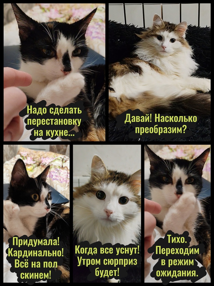 Сговор о великом плане