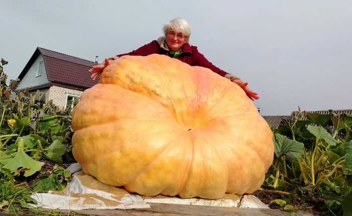 ������� � ������