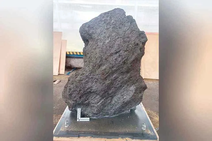 ����: ����� ����������