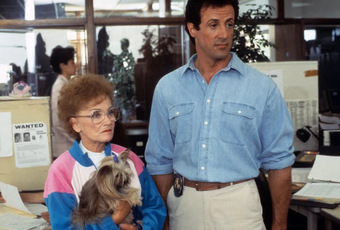 ���� ������ "����! ��� ��� ���� ����� ��������"