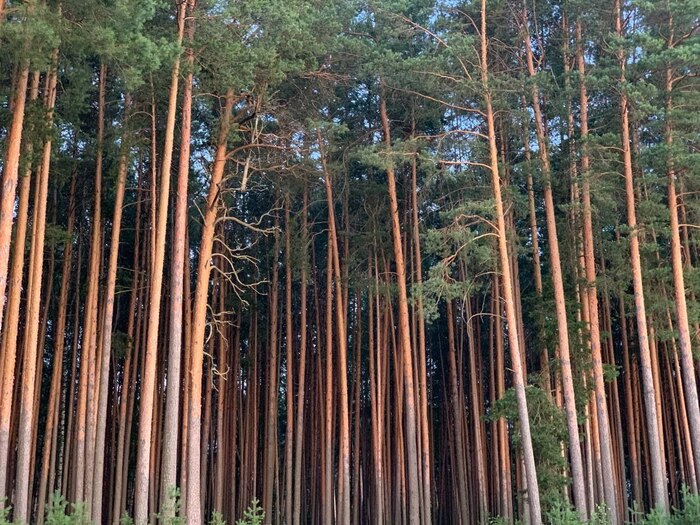 166 ���� ������� #165