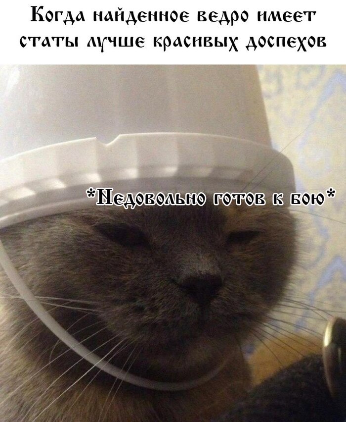 ����� ������������