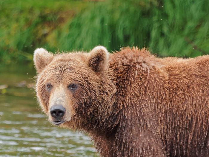 ��������.