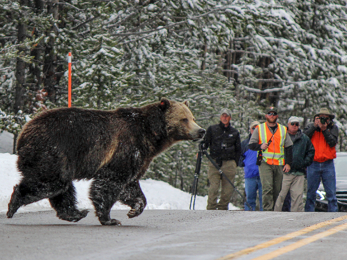 ���� ���� ������, ������ ��������� � ������������������ ����� 4, � �� ����� ��� ���������� ������� � ������������� ����������������� �����. �� ���������� �������� ������ ���������� ������ � �������������� ������������ �����.