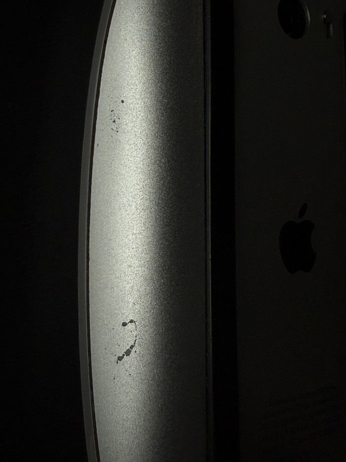 Мышь моя, ей 7 лет