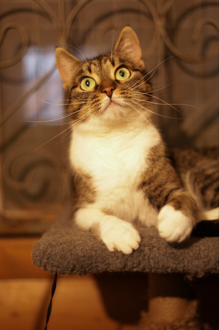 ����� � ������ ����