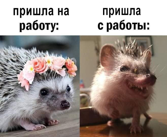 �������� ������� ������� - ������ ��� ������