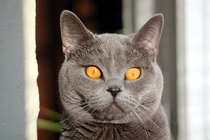 ���������� ������� "������ ����������"