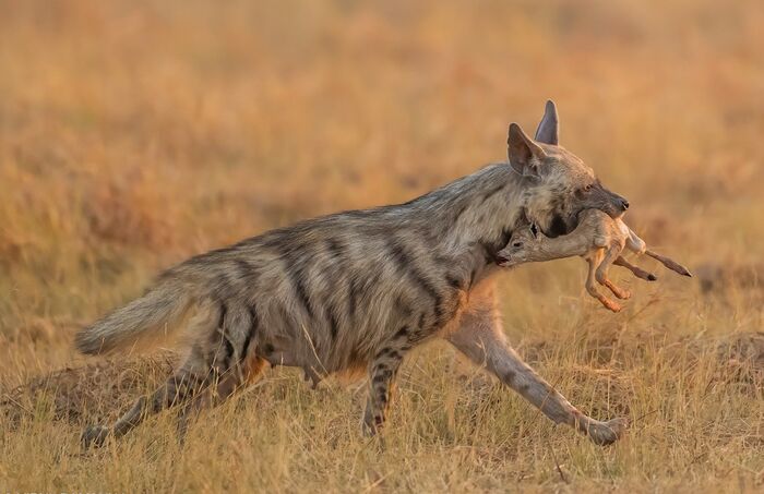 Детей кормить надо