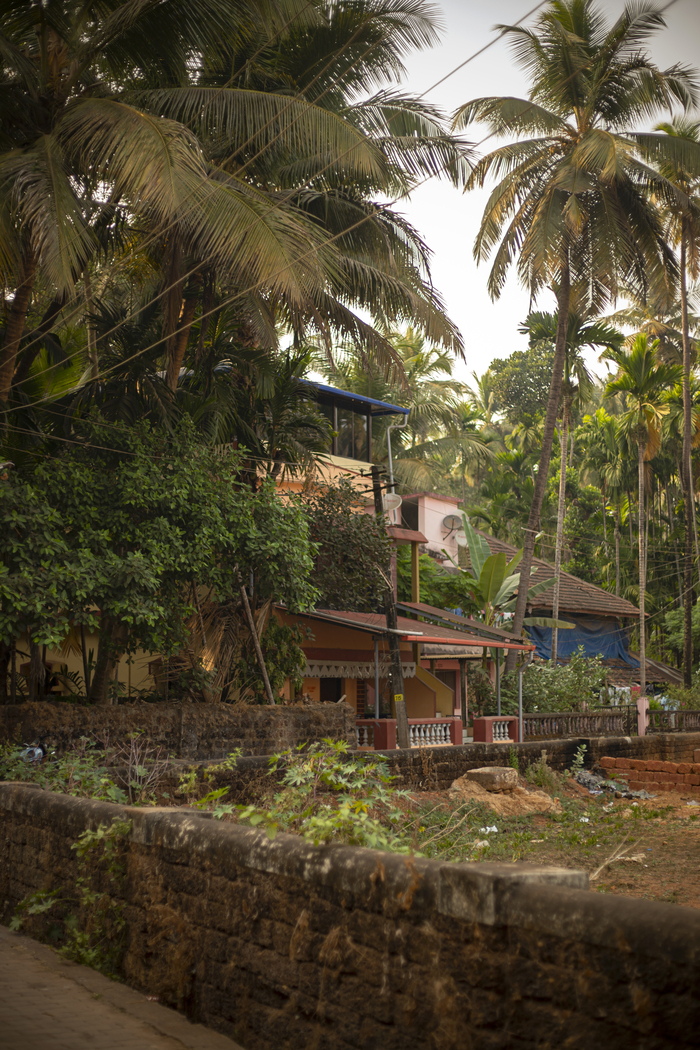 По пути в Арамболь.