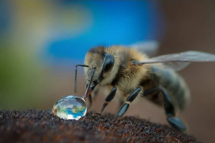 ������ ���� ���� (�� ��������).