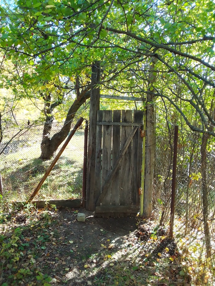 ������ ����������. ��������� ����