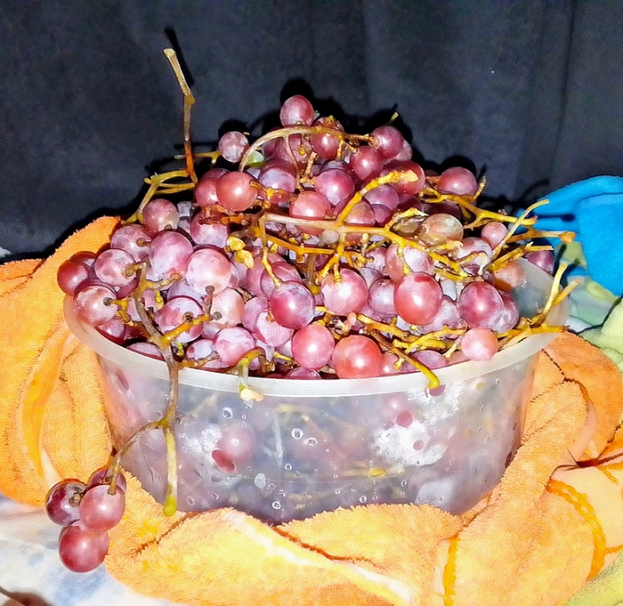 ������ ����������. �������� ��� ��������� �������