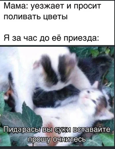 ��������!!