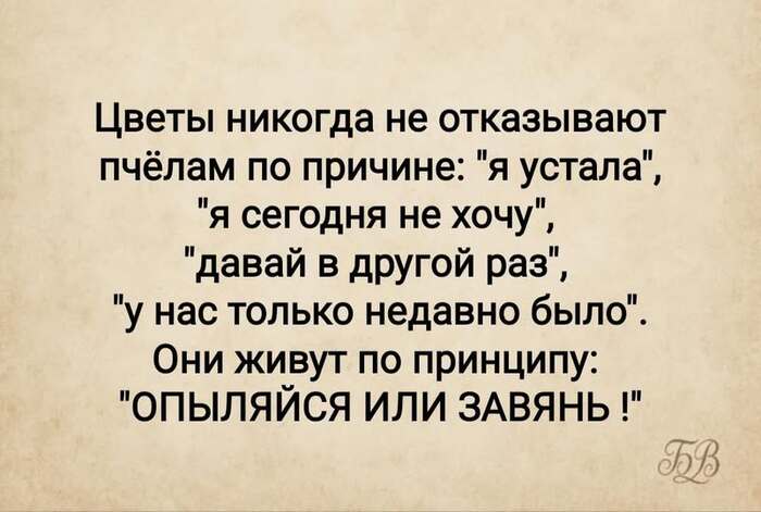 �������� ��� ...