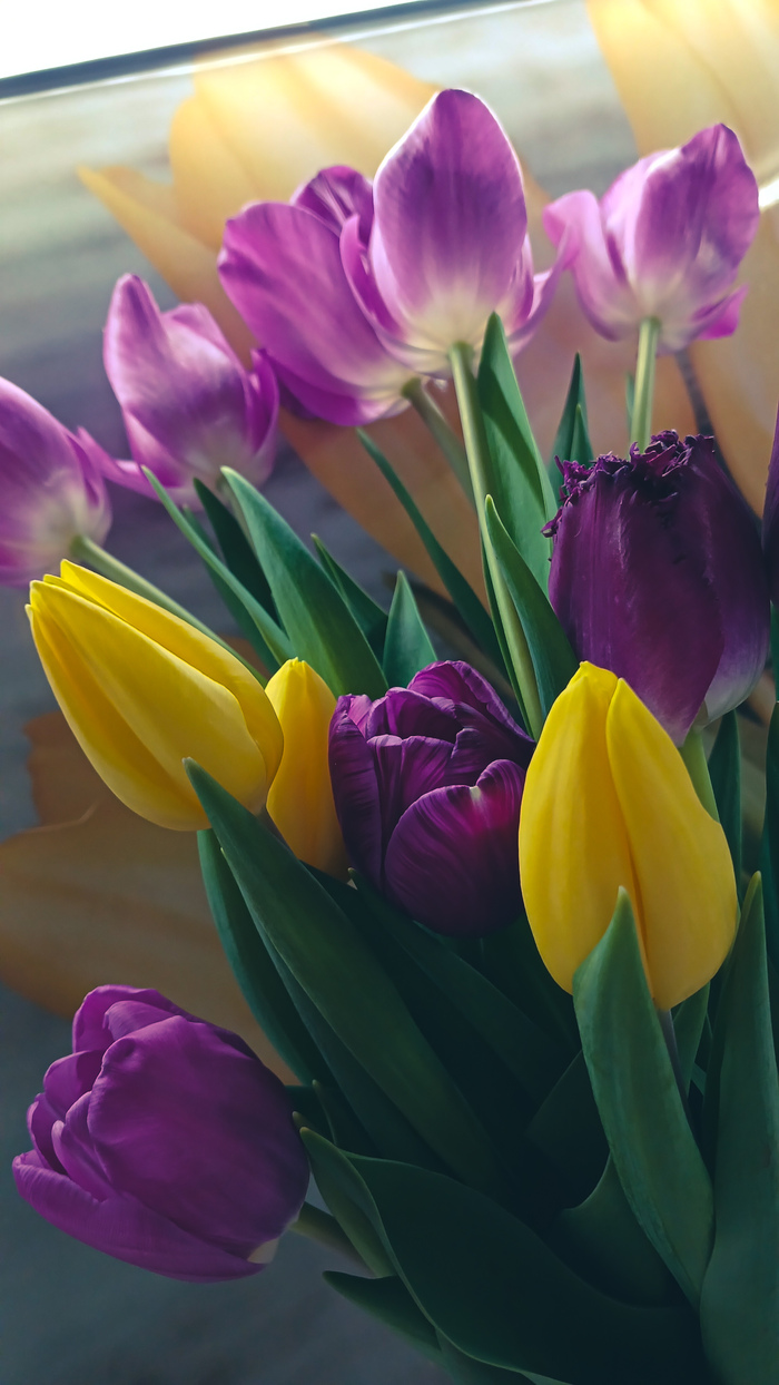 � 8 �����, ��������!!! ���������� ����!!!