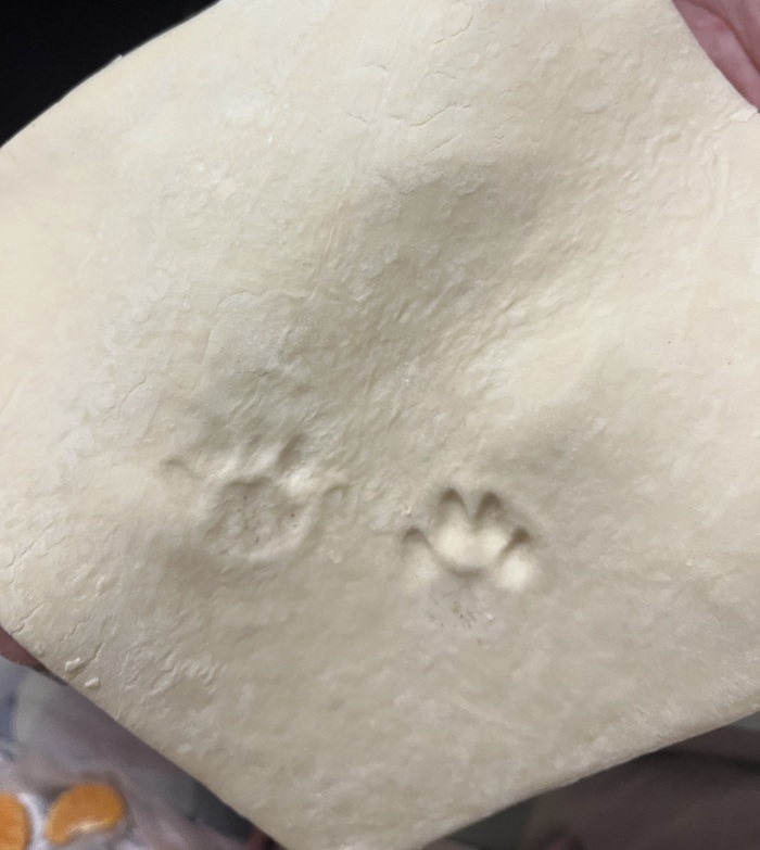 ����� �����