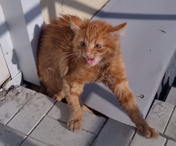 ...��� �� ��� ���� ���������� ����� ��� ������ �����������...