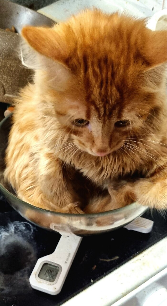 � ������������ ����� ��� �������� ����� ��������� � ���������, ������� ������ ������ ��� ������� ��� ����� �����)