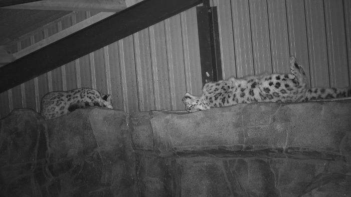 ����� � ����� (����� ���� � ��������)