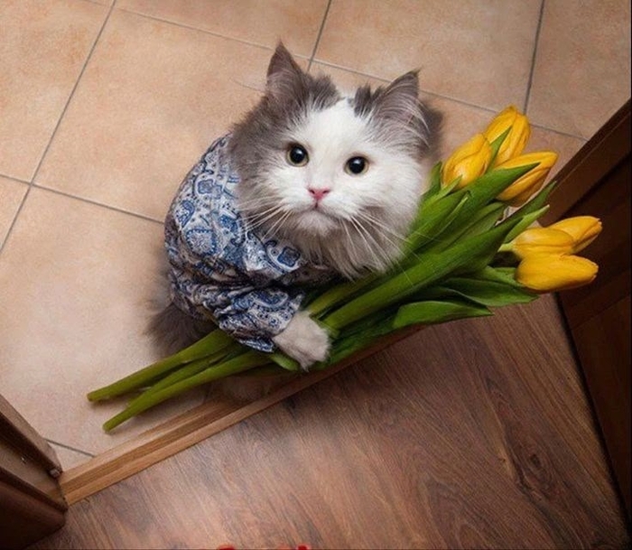 � 8 �����, � ���������!