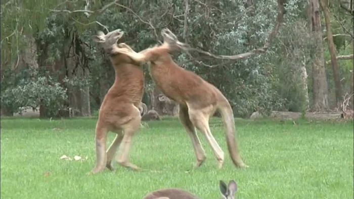 ���������� ������ ����� ��������� 8 ����� �� ��������� �������