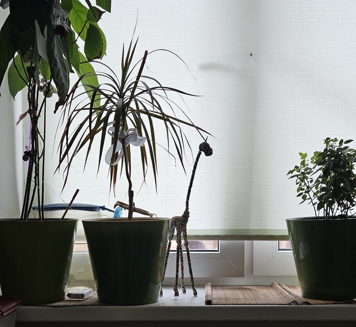 ���������� ������ �����