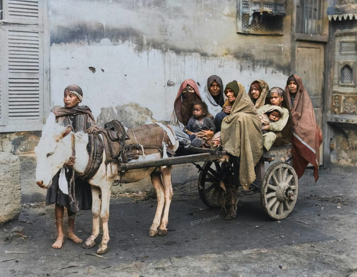 ��������: Maison Bonfils