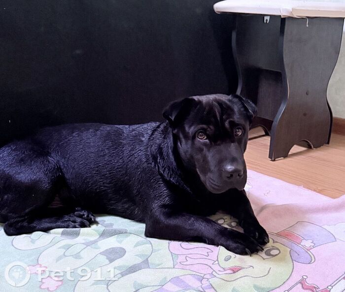 ������� ������!