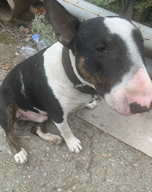 ������� ������!