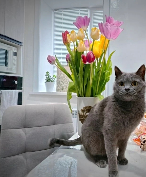 ������ ���������:)