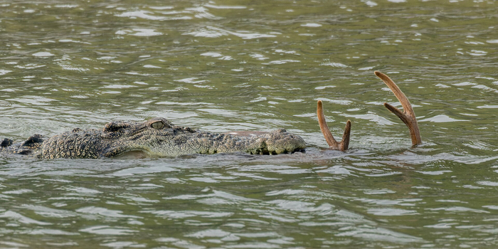 ���, � � ����� ��� � ���������� ������ ����? �, ��...