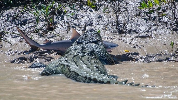 ��, ����� ��� �� ����������, �� ������ �����.