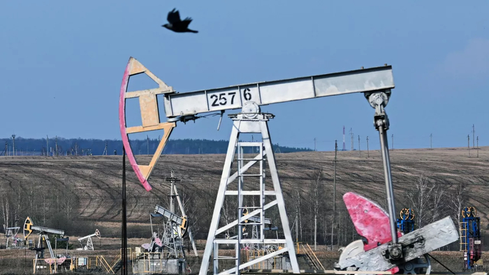 ������ �����. �������� ����