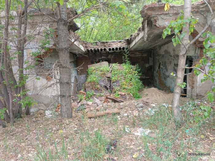 ����� ����� ����������.