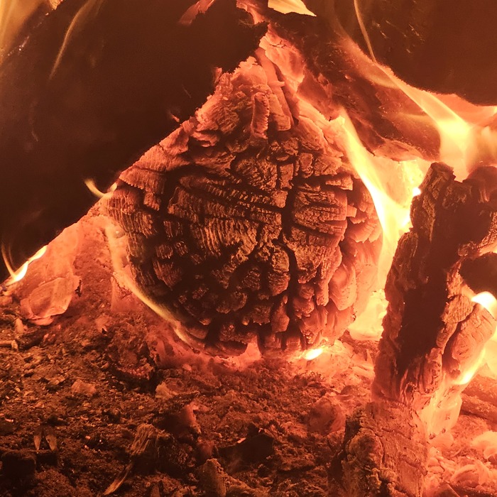 �������������