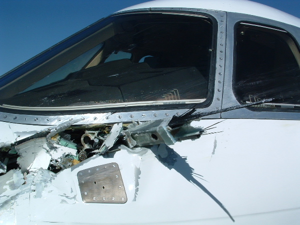 ������ ������ ���������� �������� ����� �������