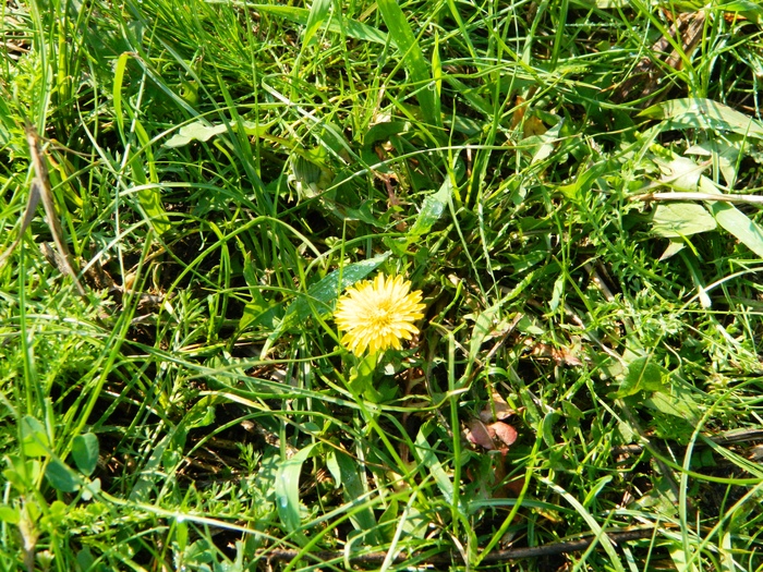 ������� ������������� �� ����� ����������, �� �� ������ � �������� ����������� ���� ������