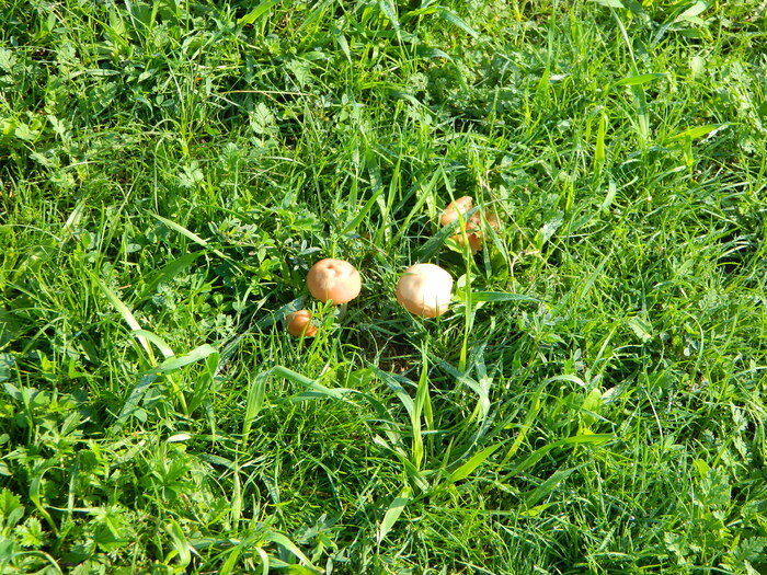 ����� ������ �� ����������, � ����� � ���