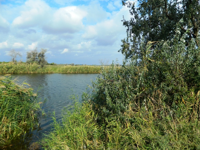 ��� ����� 15 �����