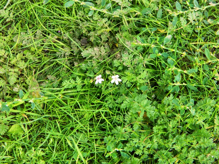 ��� ���� � ����� ����������