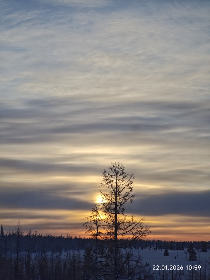 �� ������ �����