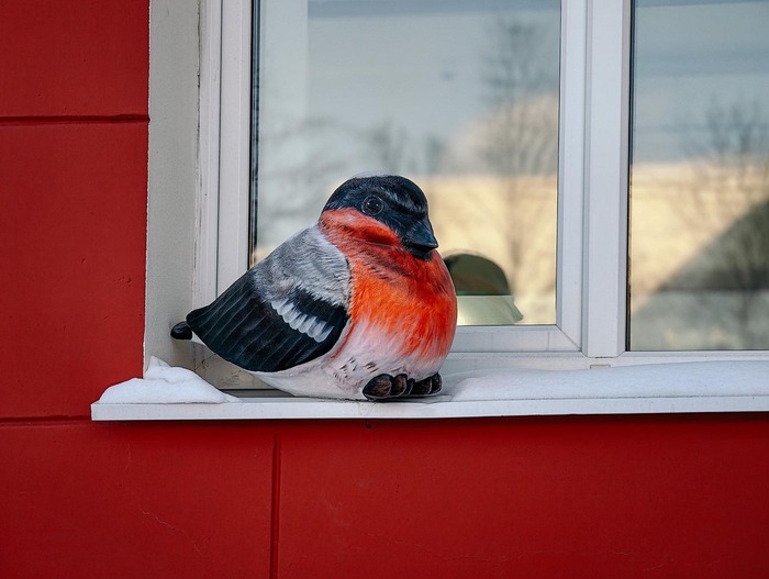 ��� ����� ������� �� �����