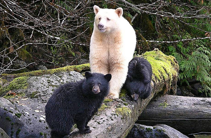 �������� 20% �������� ������� ������ ������� ����� �������. ������ ��� �� ���������, � ���������� ����� � ����� �������! ���������, ��� ��� ��������� ������������ �� ������ �����. ����� �� �����������, ����� �������� ��� ������ ������.