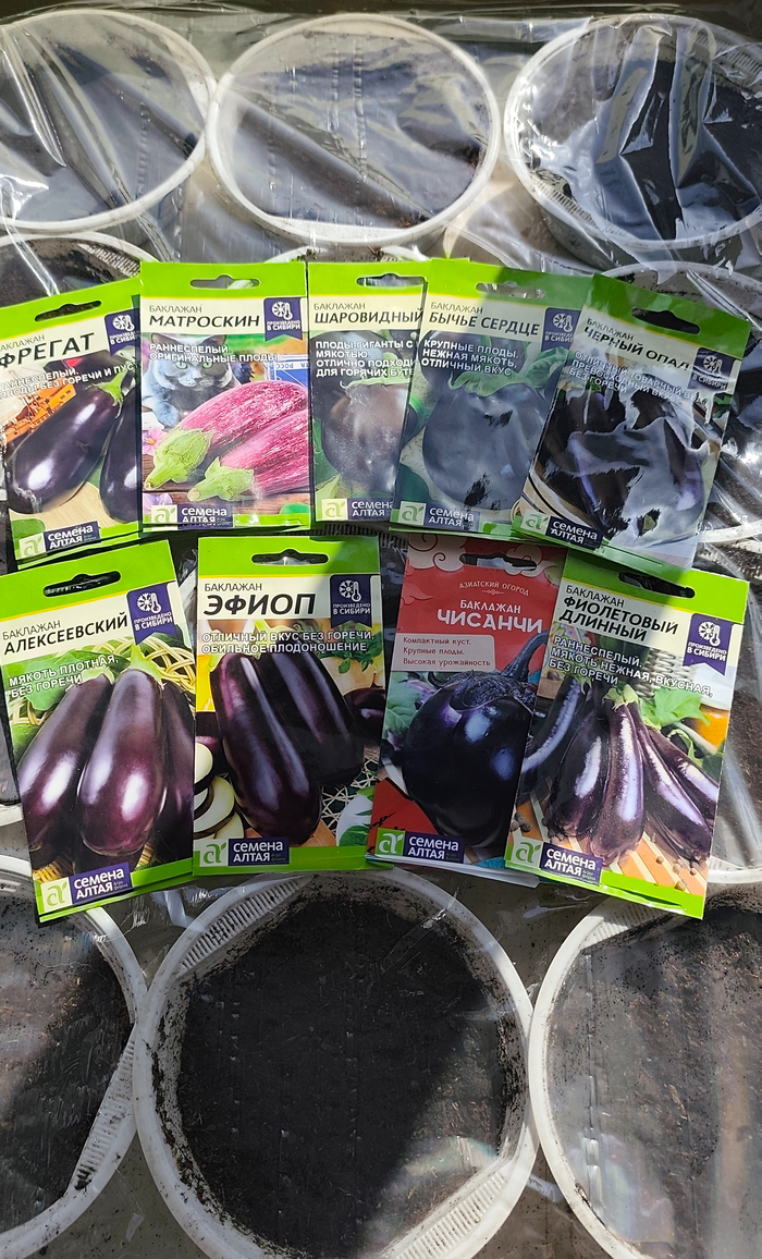 � ���� ���� ������ ������� �����) �� ����� ��������� ��� ���������� � �������� ��������� ����